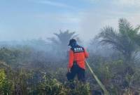 BPBD Kubu Raya saat berupaya memadamkan api di Kecamatan Sungai Kakap. {ANTARA/HO-BPBD Kubu Raya)