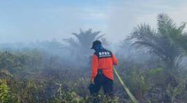 BPBD Kubu Raya saat berupaya memadamkan api di Kecamatan Sungai Kakap. {ANTARA/HO-BPBD Kubu Raya)