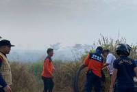 
BPBD Kubu Raya saat berupaya memadamkan api akibat karhutla di Kubu Raya. (ANTARA/BPBD Kubu Raya)