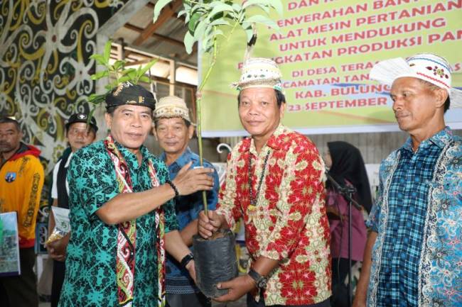 

Gubernur Kalimantan Utara Zainal Arifin Paliwang saat memberikan bantuan alat pertanian beberapa waktu lalu. [ANTARA/HO-DKISP Kaltara]