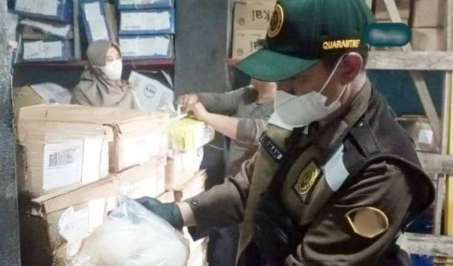 Petugas Karantina Kalsel menunjukkan daging yang tak disertai dokumen lengkap karantina. [ANTARA/Firman]