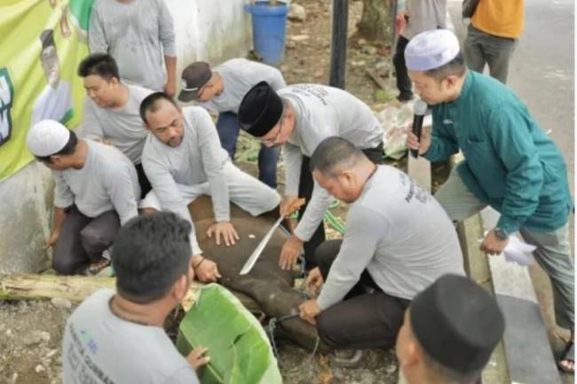 Ketua DPRD Provinsi Kalsel DR (HC) H Supian HK SH MH saat menyembelih sapi kurban di halaman belakang Kantor DPRD Provinsi Kalsel. (Foto: humasdprdkalsel)