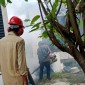 Pengasapan untuk membunuh nyamuk Aedes aegypti, Senin 1/7/2024) SuarIndonesia/ZI)
