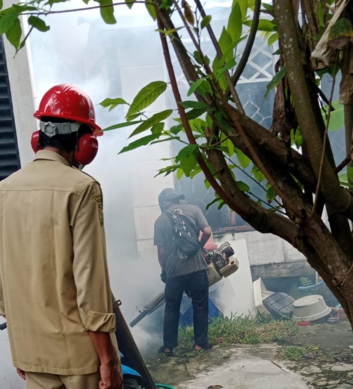 Pengasapan untuk membunuh nyamuk Aedes aegypti, Senin 1/7/2024) SuarIndonesia/ZI)