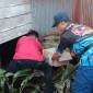Geger temuan bayi, yang  masih tertempe tali pusarnya di samping rumah warga Jalan Antasan Kecil Timur (AKT Dalam) Gamg Keramat RT 15 RW 01 Banjarmasin Utara, Rabu  (24/7/2024) pagi. (SuarIndonesia/DO)