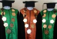 ILustrasi guru besar