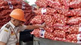 Petugas karantina saat memeriksa komoditi bawang bombai yang tidak memiliki dokumen di Pelabuhan Trisakti Banjarmasin, Kalimantan Selatan, beberapa waktu lalu. [ANTARA/HO-Karantina Kalsel]