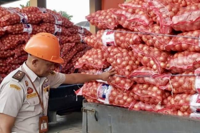 Petugas karantina saat memeriksa komoditi bawang bombai yang tidak memiliki dokumen di Pelabuhan Trisakti Banjarmasin, Kalimantan Selatan, beberapa waktu lalu. [ANTARA/HO-Karantina Kalsel]