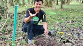 Aksi gerakan tanam satu pohon untuk Indonesia. [ANTARA/Dedi]
