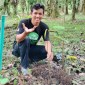 Aksi gerakan tanam satu pohon untuk Indonesia. [ANTARA/Dedi]
