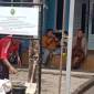 Sebuah rumah di Jalan Mahligai Kecamatan Kertak Hanyar Kabupaten Banjar,  dieksekusi, Senin (12/8/2024). (SuarIndonesia/DO)