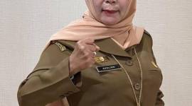 Kadispersip Kalsel, Nurliani Dardie