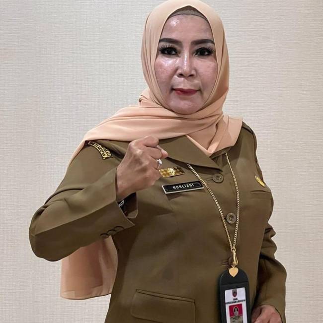 Kadispersip Kalsel, Nurliani Dardie