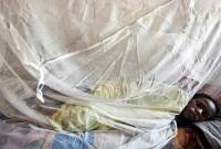 Wabah demam Lassa terus menyebar di 34 negara bagian, kata Pusat Pengendalian dan Pencegahan Penyakit. (aa.com.tr)