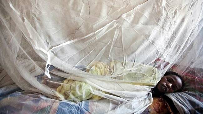 Wabah demam Lassa terus menyebar di 34 negara bagian, kata Pusat Pengendalian dan Pencegahan Penyakit. (aa.com.tr)