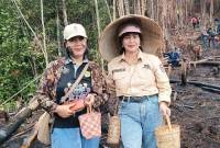 Legislator Kabupaten Gumas Rayaniatie Djangkan (kanan) dan lainnya, saat mengikuti harubuh manugal di Kelurahan Tewah Kecamatan Tewah, Senin (7/10/2024). (ANTARA/HO-PWI Gumas)
