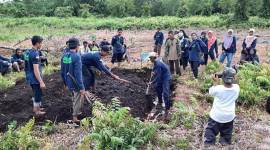 Pengelolaan lahan gambut oleh kelompok masyarakat di Kabupaten Kayong Utara. (Dokumentasi ANTARA/HO)