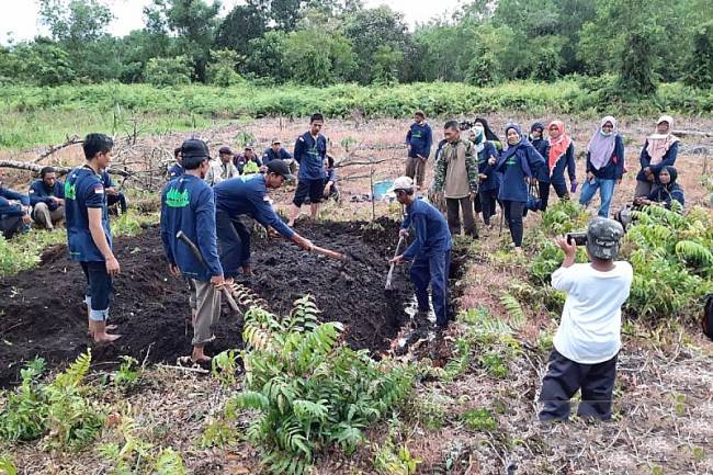 Pengelolaan lahan gambut oleh kelompok masyarakat di Kabupaten Kayong Utara. (Dokumentasi ANTARA/HO)