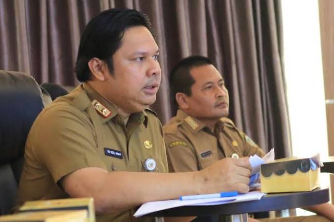 Sekdaprov Kalsel, Roy Rizali Anwar