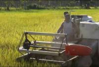 Inovasi Si Intan diharapkan mampu meningkatkan indeks pertanaman dalam 1 tahun dari IP 100 menjadi IP 300.