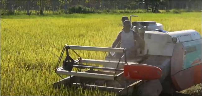 Inovasi Si Intan diharapkan mampu meningkatkan indeks pertanaman dalam 1 tahun dari IP 100 menjadi IP 300.