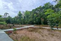 Salah satu kawasan hutan kota di Kabupaten Balangan.(Foto :Mc.Balangan)