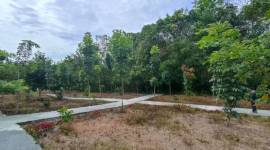Salah satu kawasan hutan kota di Kabupaten Balangan.(Foto :Mc.Balangan)