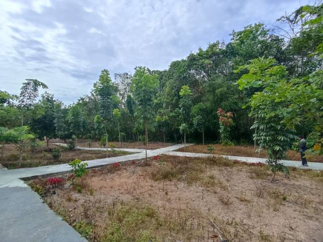 Salah satu kawasan hutan kota di Kabupaten Balangan.(Foto :Mc.Balangan)