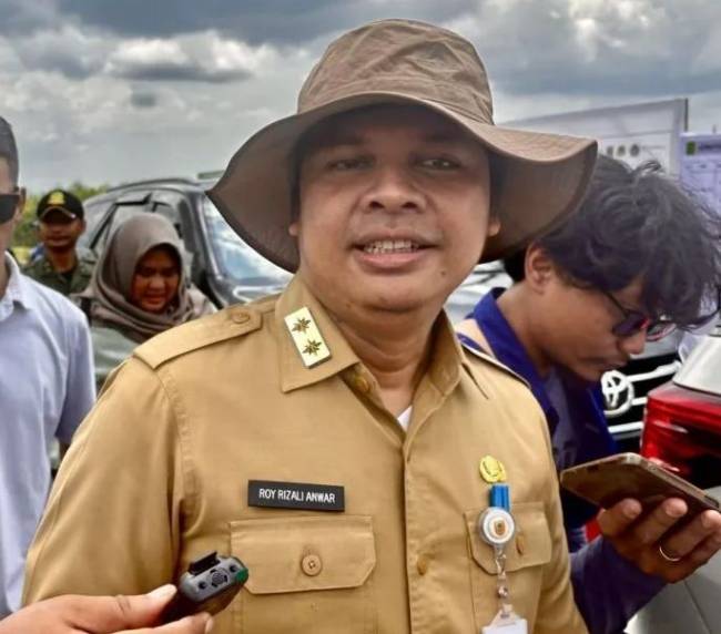 Sekdaprov Kalsel, Roy Rizali Anwar