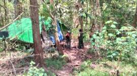 Kayu ulin diduga dari hasil pembalakan hutan lindung diamankan Polisi Kehutanan Dinas Kehutanan Kalsel di wilayah Kesatahuan Pengelolaan Hutan (KPH) Sengayam, Kabupaten Kotabaru (SuarIndonesia/Ist)