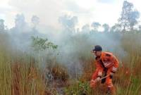 Petugas BPBD Kalsel padaman karhutla. (SuarIndonesia/Ist)