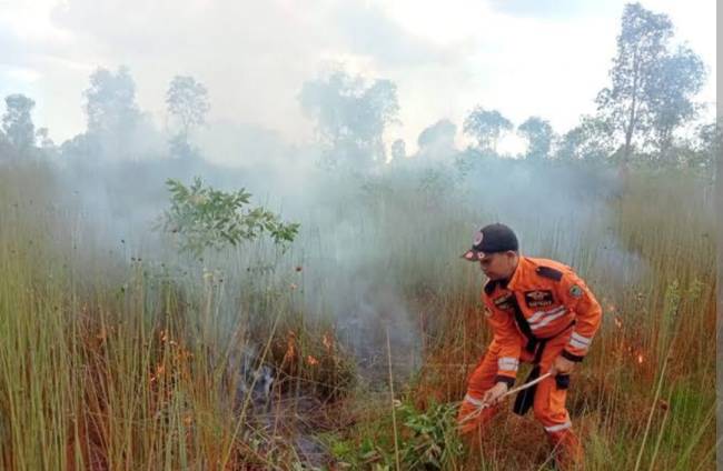 Petugas BPBD Kalsel padaman karhutla. (SuarIndonesia/Ist)