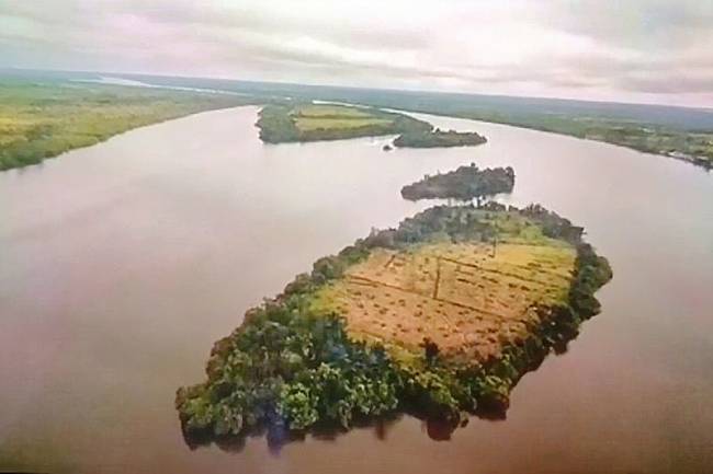 Pulau Telo yang terletak di Desa Pulau Telo, Kecamatan Selat, Kabupaten Kapuas, yang akan dijadikan distinasi wisata oleh Pemkab Kapuas. (ANTARA/All Ikhwan)