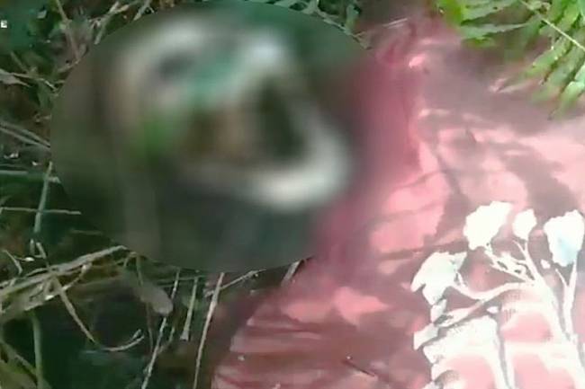 Sesosok tengkorak manusia yang ditemukan oleh warga di hutan di Desa Sei Ahas, Kecamatan Mantangai, Kabupaten Kapuas, Sabtu (12/10/2024) pagi. (ANTARA/HO-warga)