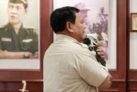 Kucing kesayangan Presiden Prabowo Subianto, Bobby Kertanegara. (Instagram/@bobbykertanegara