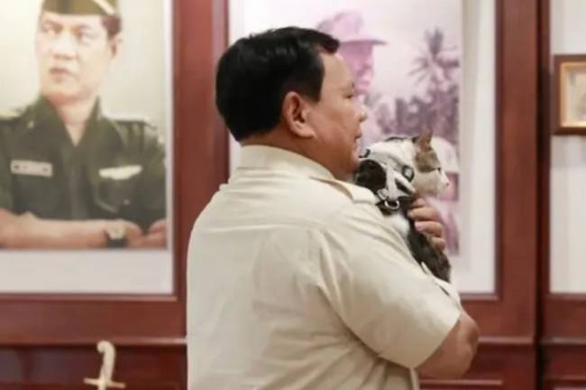 Kucing kesayangan Presiden Prabowo Subianto, Bobby Kertanegara. (Instagram/@bobbykertanegara