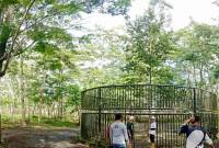 Dishut Provinsi Kalsel melakukan pemeliharaan rutin kawasan Taman Hutan Hujan Tropis Indonesia di Banjarbaru, Kalimantan Selatan. (ANTARA/HO-Dishut Kalsel)