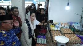 Dyah Roro Esti Widya Putri, Wakil Menteri Perdagangan (Wamendag) RI, meninjau Pasar Pandu Banjarmasin, Senin (18/11/2024) (SuarIndonesia/Ist)