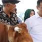 Menteri Pertanian, Andi Amran Sulaiman