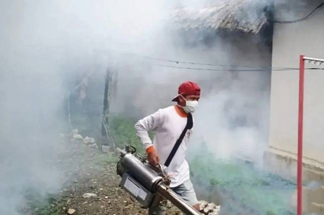Petugas melakukan penyemprotan asap pembasmi sarang nyamuk aedes aegypti di Kota Banjarmasin beberapa waktu lalu. (Dok ANTARA/HO)