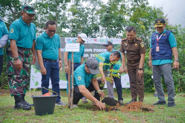 Asisten Setda Balangan, Tuhalus saat menanam pohon di Kebun Raya Balangan
