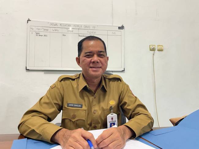 Kepala Bidang Hortikultura Dinas PKP Kalsel, Amir Salhan