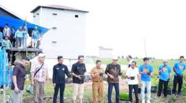 PADI APUNG- Kepala Kantor OJK Kalsel, Agus Maiyo, Kepala Dinas Pertanian HSS, HM Nur dan Dirut Bank Kalsel, Fachrudin, bersama FWE mencoba tanam budidaya padi apung, di Desa Tiang Gantung, Daha Barat, HSS.