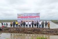 Direktur Jenderal PSP Kementan Andi Nur Alam Syah melakukan foto bersama usai tinjau Brigade Pangan, sekaligus tanam bersama di Blok B5 Dadahup, Kabupaten Kapuas, Kalteng, Selasa (17/12/2024). (ANTARA/HO-Diskominfosantik Kapuas)

