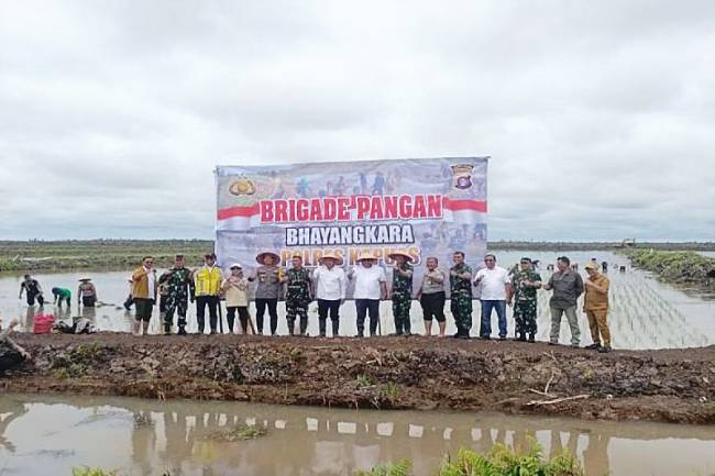 Direktur Jenderal PSP Kementan Andi Nur Alam Syah melakukan foto bersama usai tinjau Brigade Pangan, sekaligus tanam bersama di Blok B5 Dadahup, Kabupaten Kapuas, Kalteng, Selasa (17/12/2024). (ANTARA/HO-Diskominfosantik Kapuas)
