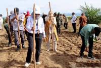 Kepala Dinas Perkebunan dan Peternakan Provinsi Kalimantan Selatan Suparmi menanam padi jenis gogo melalui pola tumpang sari di Desa Jilatan Kabupaten Tanah Laut, Kamis (26/12/2024). (ANTARA/HO-Pemprov Kalsel)