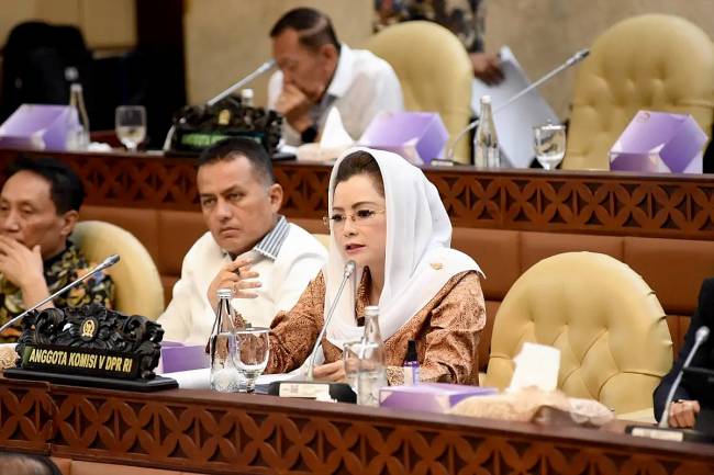 Anggota Fraksi Gerindra DPR RI Novita Wijayanti di Kompleks Parlemen, Jakarta. (ANTARA/HO-DPR RI)