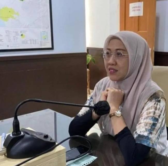Kepala DLH Kalsel, Hanifah Dwi Nirwana