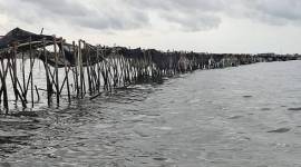 Pagar Misterius yang terpasang di laut Tangerang yang terbuat dari bambu ini membentang sepanjang 30,16 kilometer di perairan Tangerang, Banten. Pembangunan pagar ini terindikasi tidak mengantongi izin alias ilegal. (detikcom/Retno A)