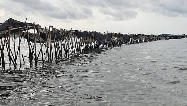 Pagar Misterius yang terpasang di laut Tangerang yang terbuat dari bambu ini membentang sepanjang 30,16 kilometer di perairan Tangerang, Banten. Pembangunan pagar ini terindikasi tidak mengantongi izin alias ilegal. (detikcom/Retno A)